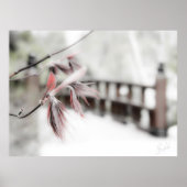 Poster Début (Devant)