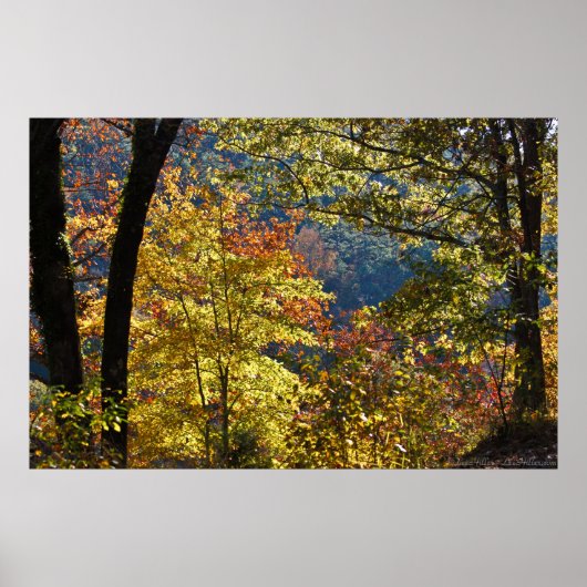 Poster Début de l'automne matin sur West Mountain (Devant)