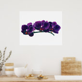 Poster DÉBUT DE MOINS DE 20 $ - Orchidées Phalaenopsis vi (Cuisine)