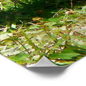 Poster DÉBUT DE MOINS DE 20 $ - Tourner le coq (Coin)