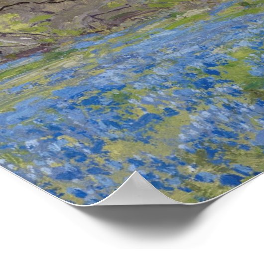 Poster Début de printemps—Bluebonnets et Mesquite (Coin)