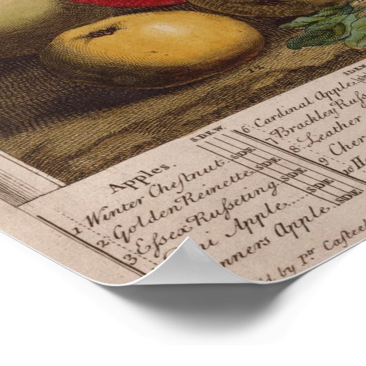 Poster Décembre, "Douze mois de fruits" (Coin)