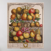 Poster Décembre, "Douze mois de fruits" (Devant)