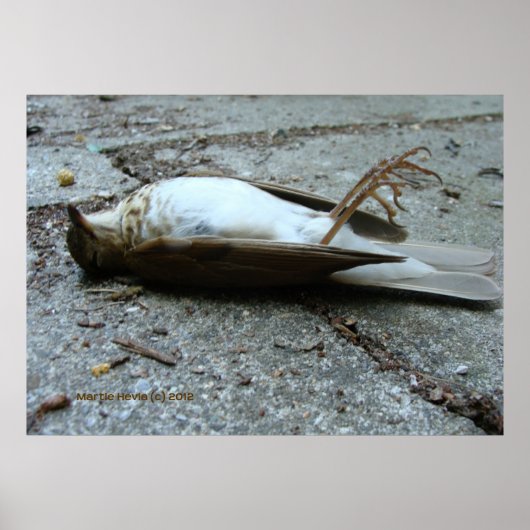 Poster Décès (Devant)