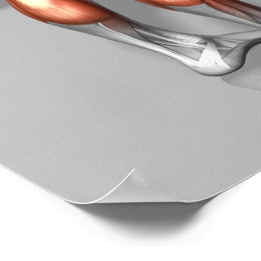 Poster Décharge roumaine (Coin)