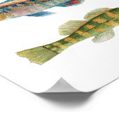 Poster Déchets communs d'eau douce (Coin)