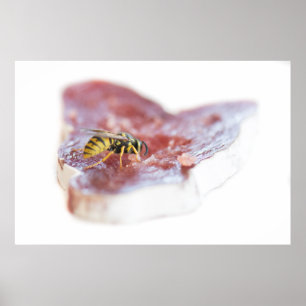 Poster Déchets mangeant une saucisse