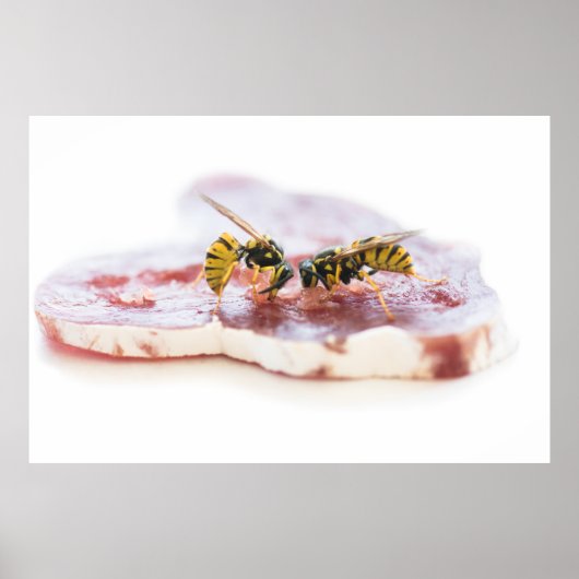 Poster Déchets mangeant une saucisse (Devant)