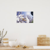 Poster Déchets sur la fleur de cerisier, gros plan (Cuisine)