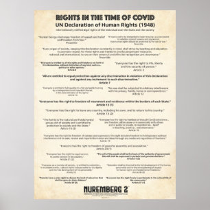 Poster Déclaration Des Nations Unies Sur Les Droits De L'