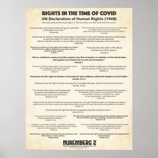 Poster Déclaration Des Nations Unies Sur Les Droits De L' (Devant)