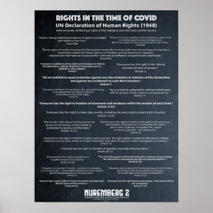 Poster Déclaration Des Nations Unies Sur Les Droits De L'