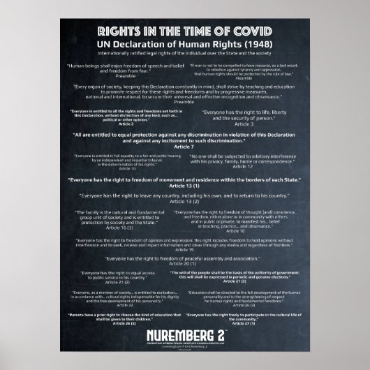 Poster Déclaration Des Nations Unies Sur Les Droits De L' (Devant)