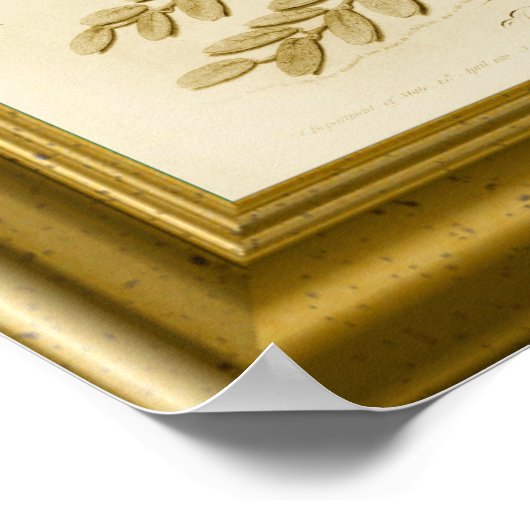 Poster Déclaration d'indépendance (Coin)