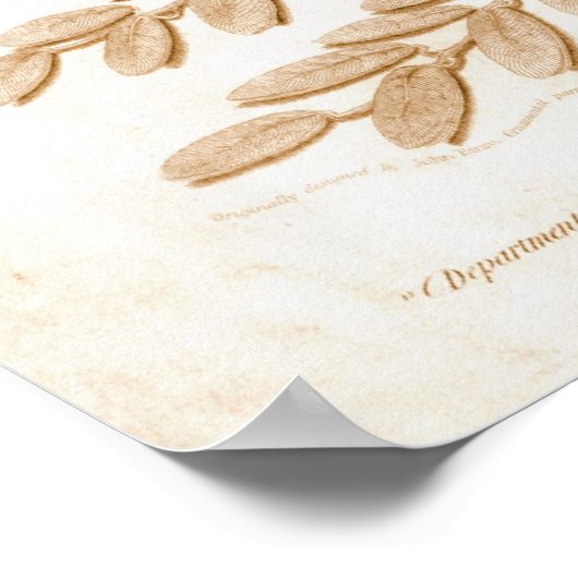 Poster Déclaration d'indépendance 1818 (Coin)