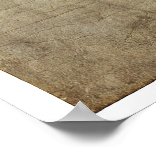 Poster Déclaration d'indépendance originale (Coin)