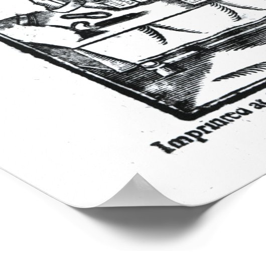 Poster Déclaration et norme des niveleurs (Coin)