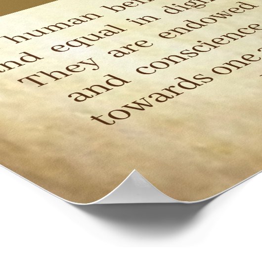 Poster Déclaration universelle des droits de l'homme Arti (Coin)