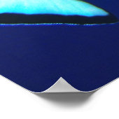 Poster Déclencheur de clowns dans le bleu (Coin)