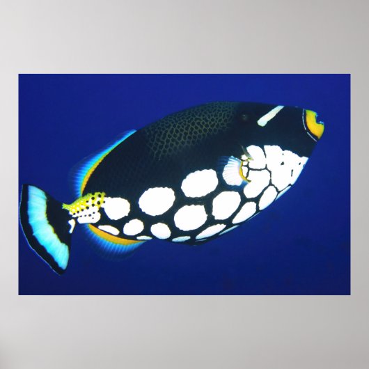 Poster Déclencheur de clowns dans le bleu (Devant)