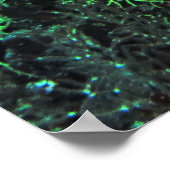 Poster Déclencheur de clowns sur le récif (Coin)