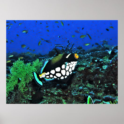 Poster Déclencheur de clowns sur le récif (Devant)