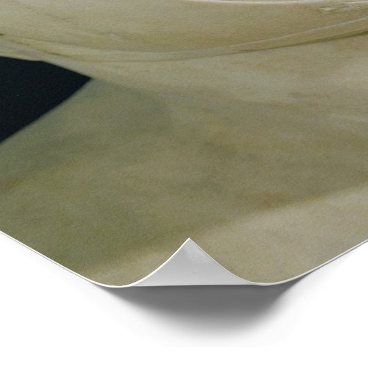 Poster Déclin de la Pyrrhus (Coin)