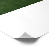 Poster déclinant (Coin)