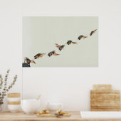 Poster Décollage de Cetonia aurata (Cuisine)