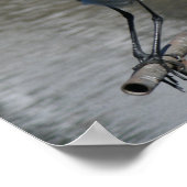 Poster "Décollage", Great Egret (Coin)