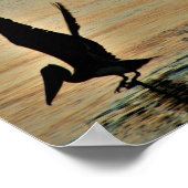 Poster décollage pélican au coucher du soleil Côte du Gol (Coin)