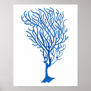 Poster Décor de corail de mur de plage de l'impression #5