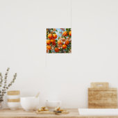 Poster Décor de cuisine botanique minimal abricot (Cuisine)