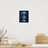 Poster Décor de la Marine Marque Coquillage Imprimer no 1 (Cuisine)