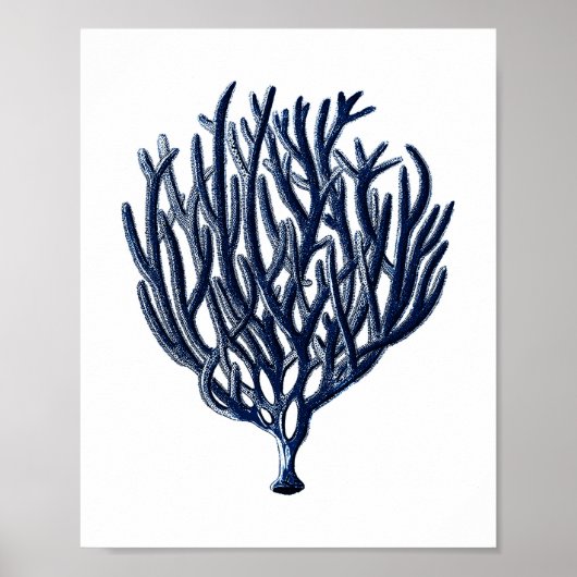 Poster Décor de la plage de corail bleu marine (Devant)