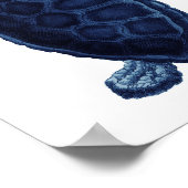 Poster Décor de la salle de bains Marine Blue Sea Turtle (Coin)