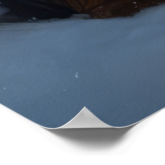 Poster Décor de Noël Bernese Mountain Snowy (Coin)