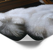 Poster Décor de Noël Cockapoo Snowy Sleigh (Coin)