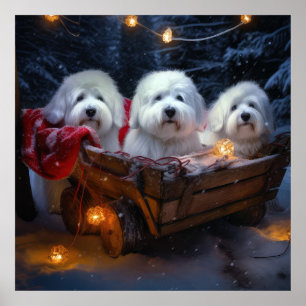 Poster Décor de Noël Coton De Tulear Snowy Sleigh