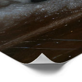 Poster Décor de Noël Schnauzer Snowy Sleigh (Coin)