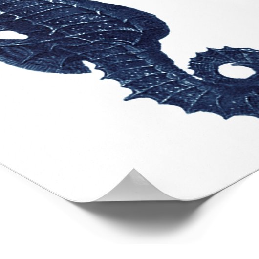 Poster Décor de plage bleu et blanc (Coin)