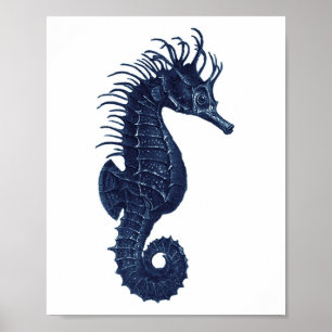 Poster Décor de plage bleu et blanc