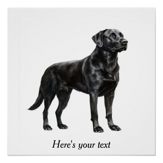 Poster Décor de retrieur Black Labrador personnalisé (Devant)