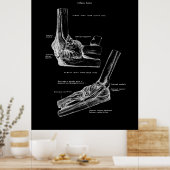 Poster Décor du mur orthopédique de l'anatomie articulair (Cuisine)