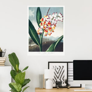 Poster Décor floral exotique blanc jaune de style Régence