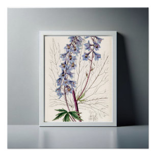 Poster Décor maison en Delphinium gracieux