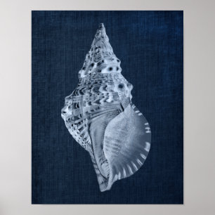 Poster Décor Marine Seashell pour salle de bain ou chambr