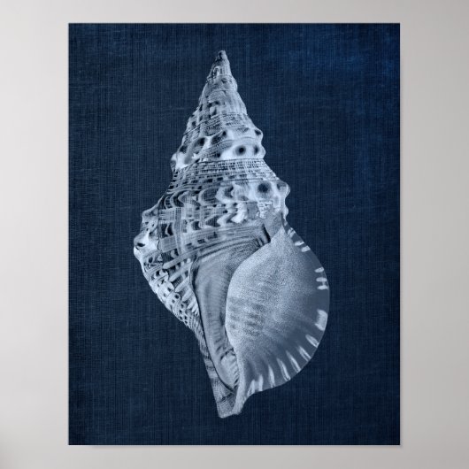 Poster Décor Marine Seashell pour salle de bain ou chambr (Devant)