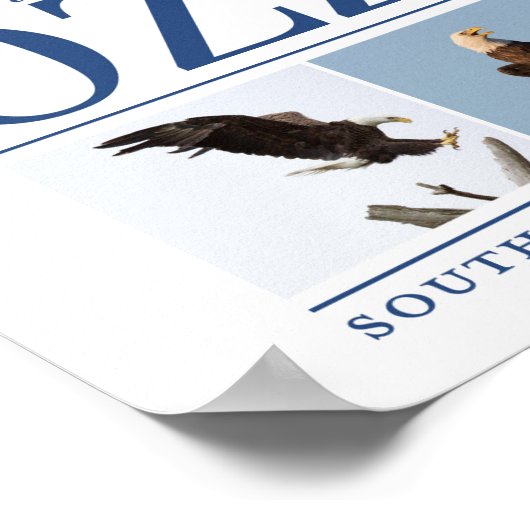 Poster décoratif Ozzie (Coin)