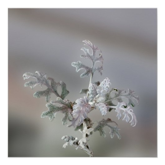 Poster Décorations de Noël Naturelles (Devant)